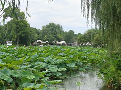 -石湖景区