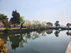 -无锡蠡湖国家湿地公园-蠡园