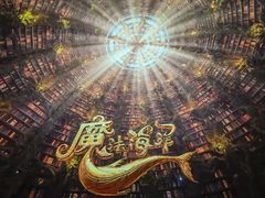 -海合安成都极地海洋公园