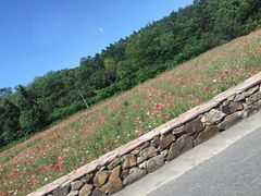 -瞻老元面馆(双塘路店)