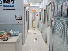 -纳吉亚猫专科动物诊疗中心(蒋宅口分院)