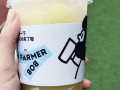 灭火青芒油柑-喜茶(广州滨江宏岸店)