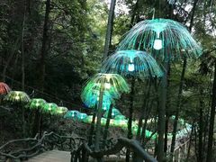 -石燕湖生态旅游景区