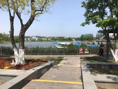 -上海长兴岛郊野公园