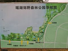 -瑶湖郊野森林公园