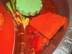 -大龙燚火锅(春熙店)