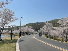 -羊山湖公园