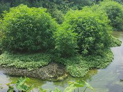 -天河潭旅游度假区