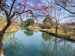 -西溪国家湿地公园