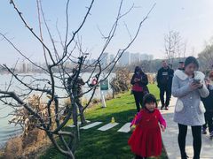 -昆山城市生态森林公园