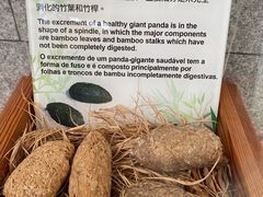-石排湾郊野公园