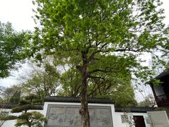 -上海醉白池公园