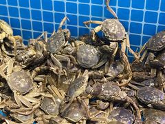 河蟹-乔哥铭洋海鲜自助(皇城恒隆广场店)