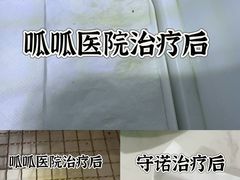 -守诺宠物医院·眼科· 特色牙科·异宠专科(虹口店)