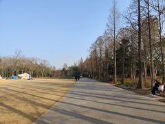 -上海滨江森林公园