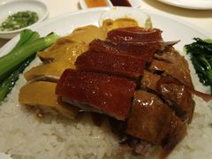 -龙记烧腊茶餐厅(常德路店)