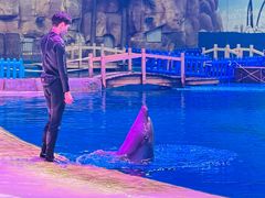 -华夏文旅海洋公园