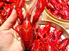 -靓靓蒸虾·头牌蒸虾(南山桂庙店)