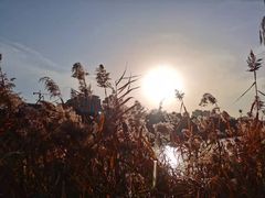 -西安汉城湖景区