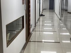 -电脑移动硬盘维修数据恢复西数wd希捷
