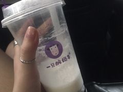 -一只酸奶牛(八一路店)