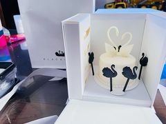 -BLACKSWAN黑天鹅(环球店)