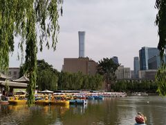-团结湖公园