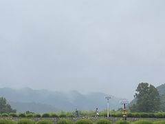 -自在弥林花园餐厅(云栖店)