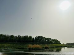 -洨河生态公园