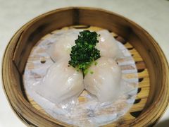 -隆隆金大茶楼(地王广场店)
