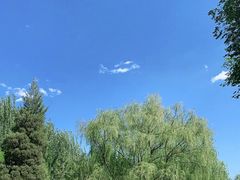 -青城公园