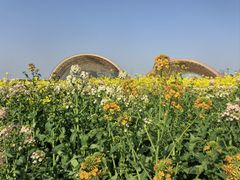 -中国天府农业博览园