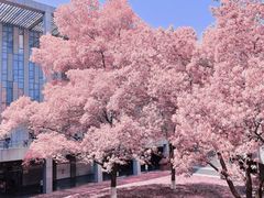 -杭州花家山庄