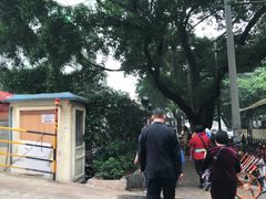 -广州市红十字会医院(总院)