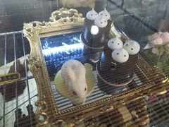-中海环宇荟