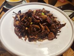 -鸡毛店·川菜(双楠店)