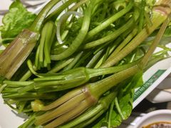 -爱膳菌锅锅(阳南店)