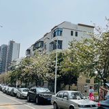 樱花已谢，游乐园永存