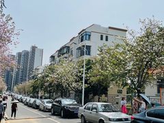 -小南山公园