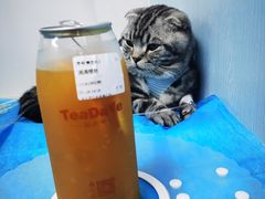 -纳吉亚猫专科动物诊疗中心(蒋宅口分院)