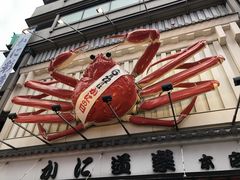 -蟹道乐(道顿堀本店)