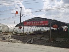-喜杨洋草莓采摘园