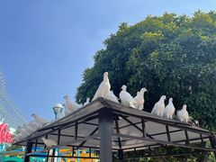 -海合安武汉极地海洋公园