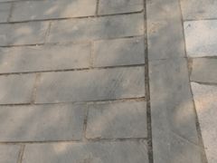 -东方巨龟苑景区