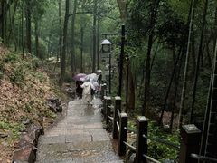 -灵顺寺
