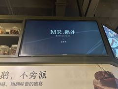 -MR鹅外