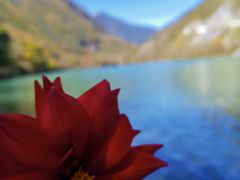 -叠溪松坪沟景区