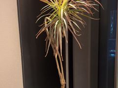 -小厨娘淮扬菜(河西奥美大厦店)