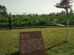 -白鹭湾湿地公园