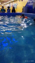 -子木乐园婴儿游泳馆(水晶港店)